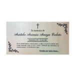 placa grande