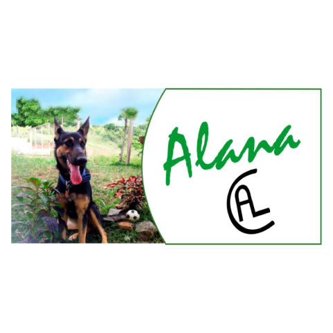 CUADRADO-placa-auto-2