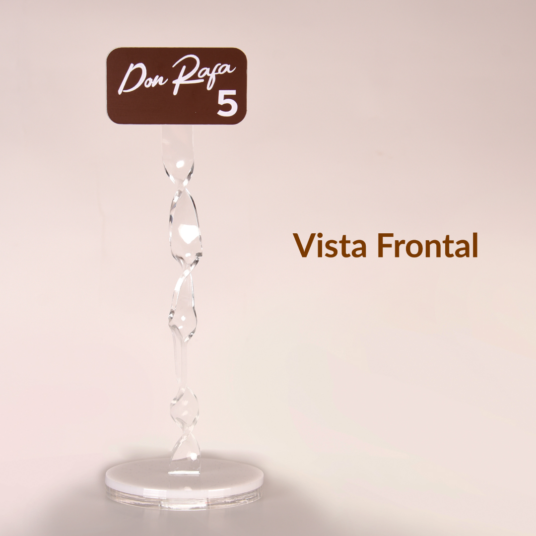 vista-frontal