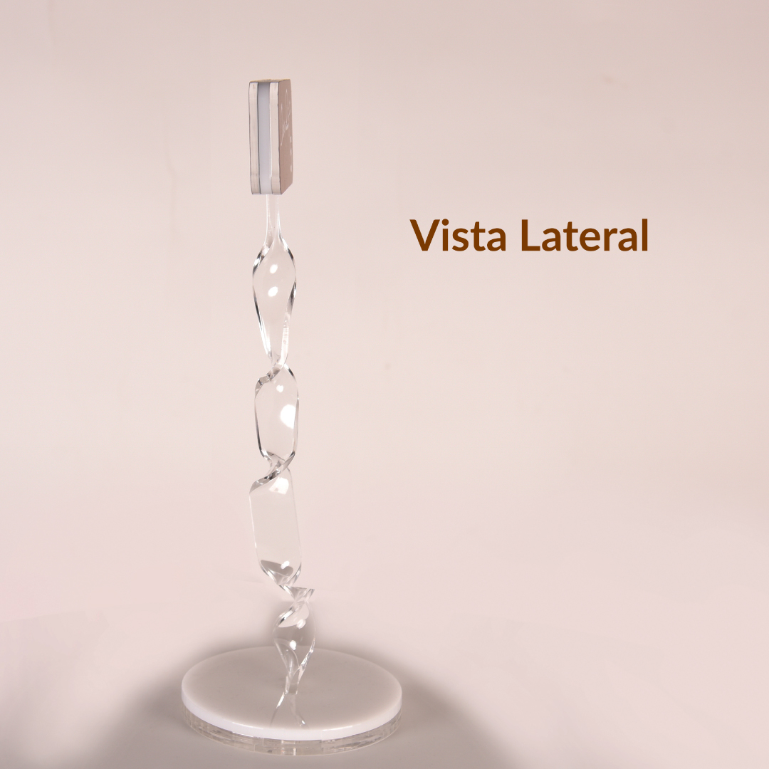 vista-lateral