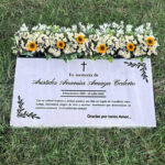 placa jumbo