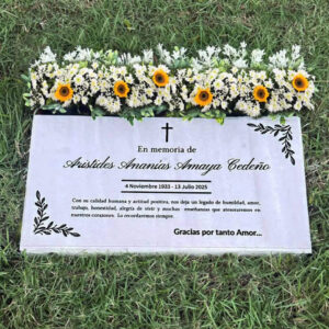 placa jumbo